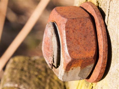 Close Up Of Large Rusty Bolt And Head Stock Image Image Of Industrial
