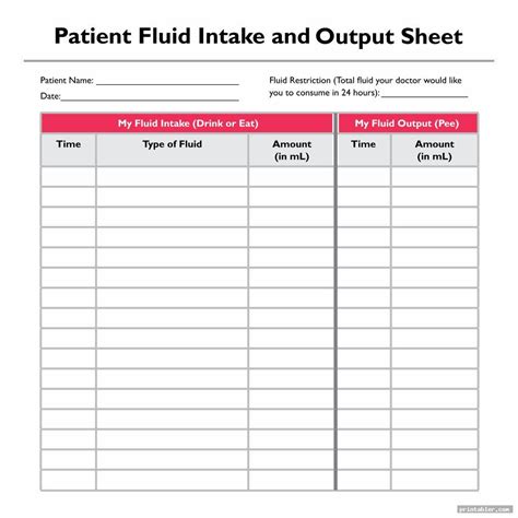 Intake And Output Chart Example