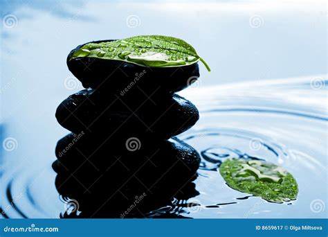 Zen Stones And Leaves In Blue Water Stock Image Image Of Alternative