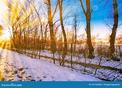 The First Snowautumn In The Park And Sunset Stock Image Image Of