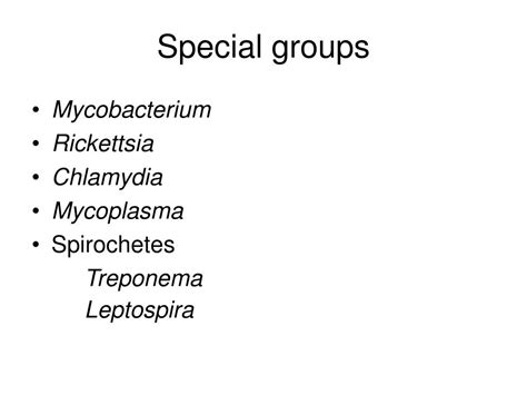 Ppt Clinically Encountered Bacteria Powerpoint
