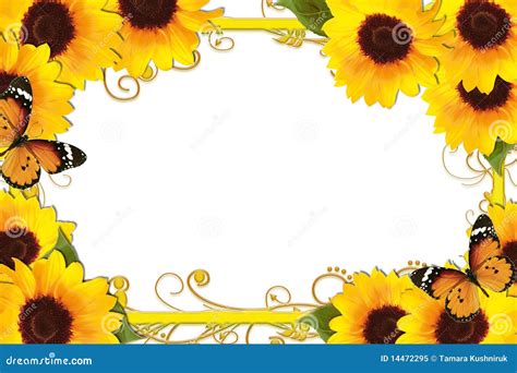 Sunflower Border Stock Illustration Illustration Of Season 14472295