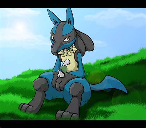 Another is the canonical watch order, which contains only the parts mentioned in the manga. Lucario, from Multiverse Dragonball, a roleplay on RPG