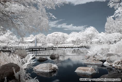 What You Need To Know About Infrared Photography Shutter Journey