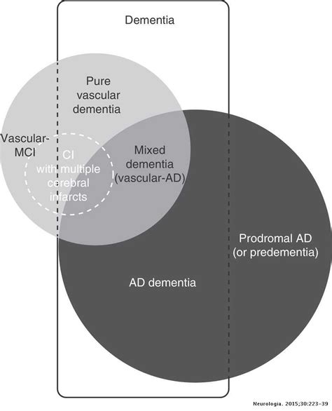 Diagnosis Of Vascular Cognitive Impairment And Its Main Categories