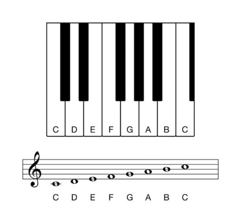 Piano Scales For Beginners Guide With Examples Joshua Ross