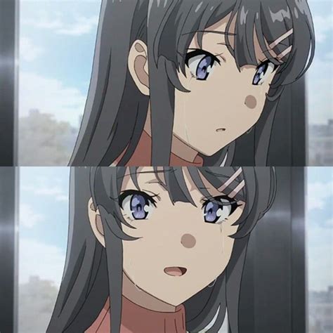 Anime Seishun Buta Yarou Wa Bunny Girl Senpai Yukiko Personajes