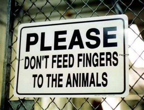 Funny Animal Signs 24 Photos Funcage