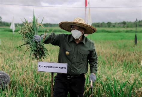 Dengan keupayaan malaysia untuk menghasilkan sebanyak 1.85 juta tan. Sektor Pertanian, Peternakan dan Perikanan Jadi Solusi di ...