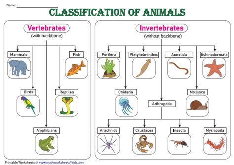 Color Worksheets For Preschool Animal Worksheets Science Worksheets