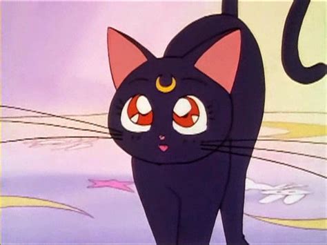 Animated Film Reviews Sailor Moon 1992 Magical Girls