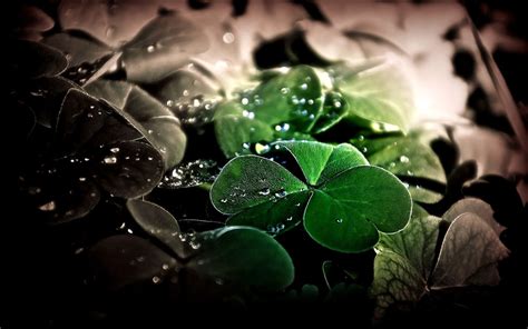 Lucky Wallpapers Top Free Lucky Backgrounds Wallpaperaccess