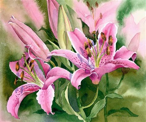 Watercolor Painting Of Pink Lilies On Green Background