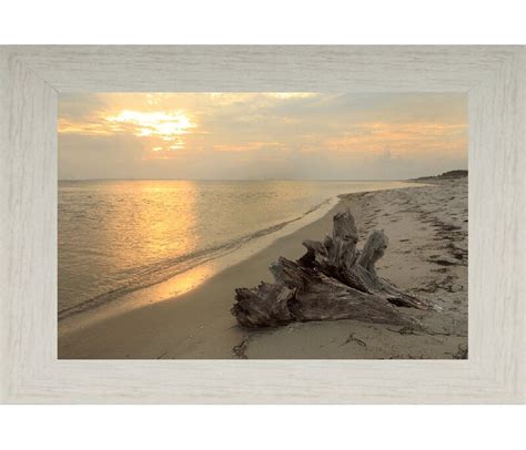 Highland Dunes Coastal Framed Photographic Print And Reviews Wayfair