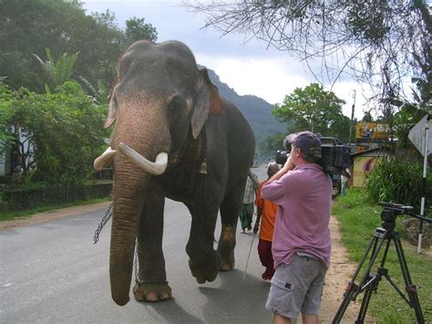 Rockhopper Tv Crew Filming In Sri Lanka Travel Film World