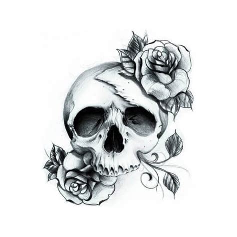 Comment dessiner une tête de dragon 21 étapes. Tatouage temporaire Black Skull 8 cm : tête de mort aux roses