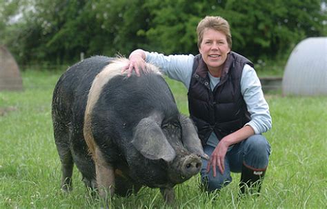 Helen Browning With One Of Her Organic British Saddleback Pigs Ed