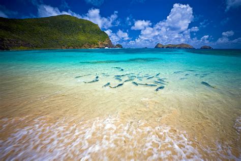 Lord Howe Island Travel New South Wales Australia Lonely Planet