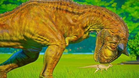 Jurassic World Evolution Carnotaurus Interrupts Homalocephale Battle
