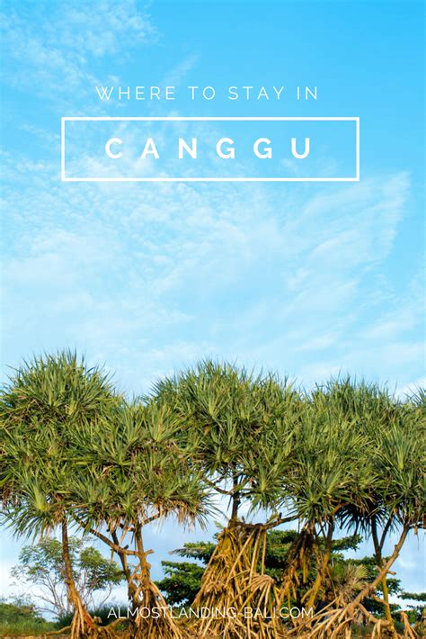 Where To Stay In Canggu Our Canggu Accommodation Guide Almost Landing Bali Bali Travel