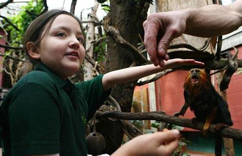 School Children Get To Be Zookeepers At London Zoo