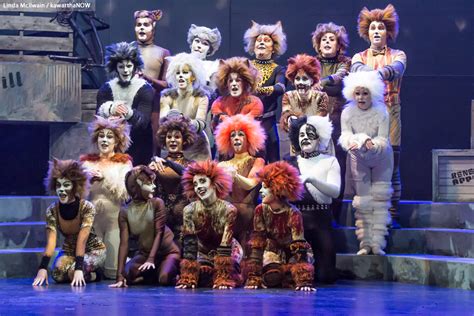 I have enjoyed working on cats as much as on any show on which i have worked. Musical tribute celebrates theatrical legend Andrew Lloyd ...