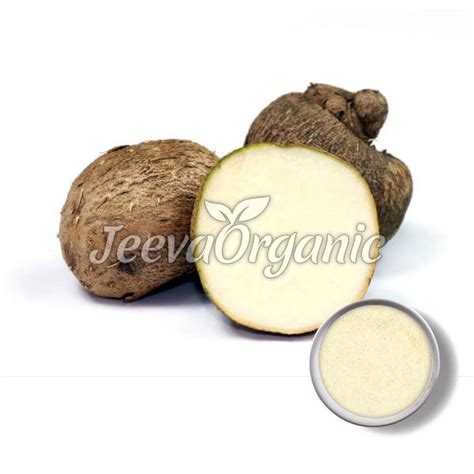 Best Wild Yam Powder Suppliers Bulk Wild Yam Powder Supplier