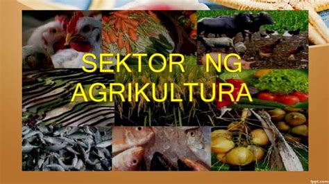 Sektor Ng Agrikultura Ppt