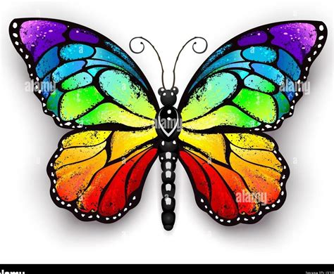 Descubre El Significado Oculto De Soñar Con Mariposas De Colores