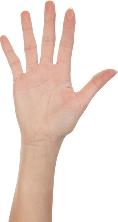 Five Finger Hand Png Image Purepng Free Transparent Cc Png Image Library