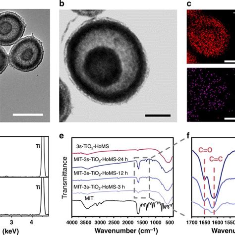 Characterization Of Tio2homs Before And After Mit Loading A Tem Image