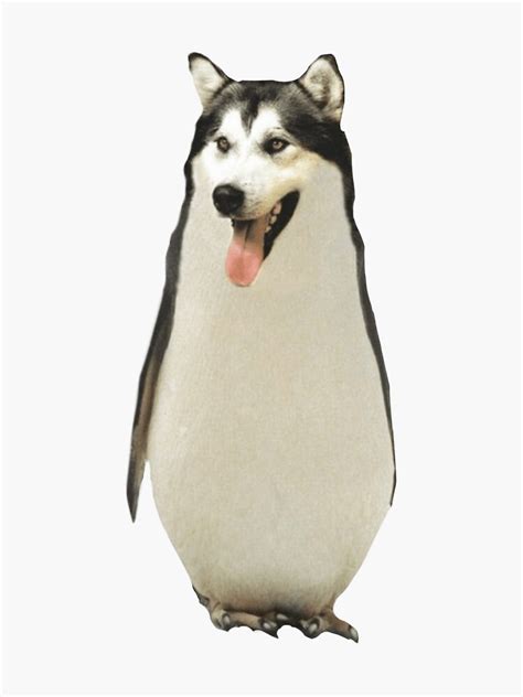 Husky Penguin Mix Meme Moon Sticker For Sale By Definitiondump