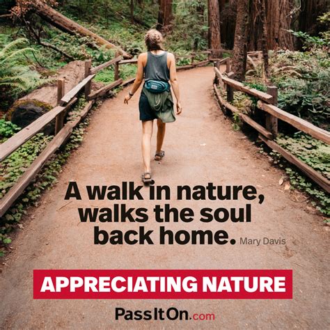“a Walk In Nature Walks The Soul Back Home” —mary Davis