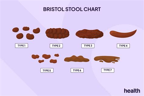 Bristol Stool Chart Is Your Poop Healthy Poop Spike