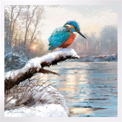 Kingfisher In The Snow Christmas Cards Woodland Trust
