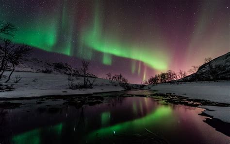 Aurora Borealis Northern Lights Night Green Stars Snow Winter River