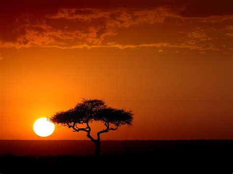 Sunset In Kenya Typical Sunset In Africa Kenyan Sunset In Flickr