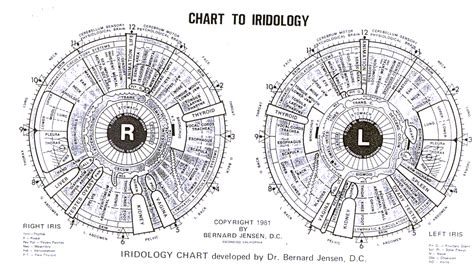 Iridology Bernard Jensen And His Book And Iridology Chart Iriscope