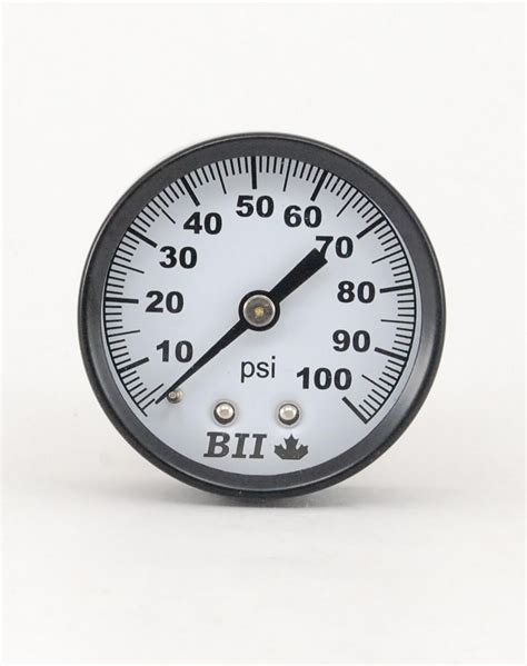 Pressure Gauge 2 Dial Stainless Steel Or Plastic Pressure Gauges
