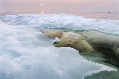 The Stunning Winners Of This Years National Geographic Photo Contest