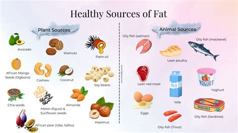 Dietary Fat Functions Requirements And Healthy Sources Omisnutrition