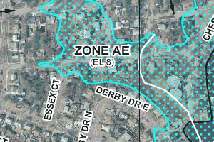 Second Look Flood Accurate Affordable FEMA Flood Zones Maps