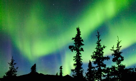 Yukon Northern Lights Or Aurora Forecast Yukon Territory Information