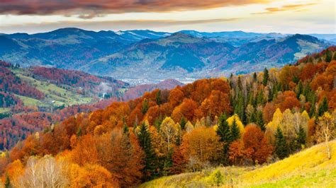 Forest Valley Landscape Mountains Leaves Colorful Nature Fall