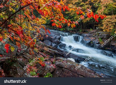 Red Maples Leaves Frame This Beautiful Stock Photo 112085438 Shutterstock