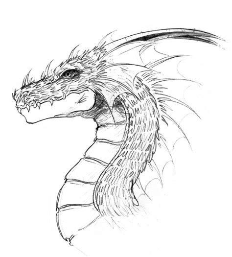 Line Drawings Of Dragon Heads