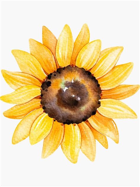 Watercolor Sunflower Painting Art And Collectibles