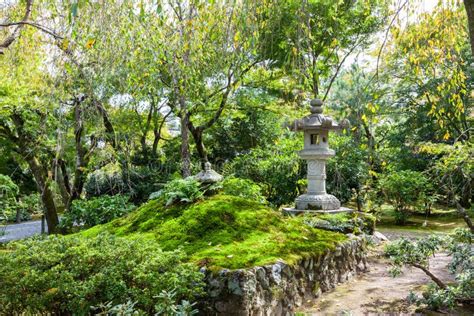 Japanese Zen Garden Stock Photo Image Of Moist Green 47743012