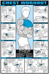 Muscle Exercise Chart Pdf