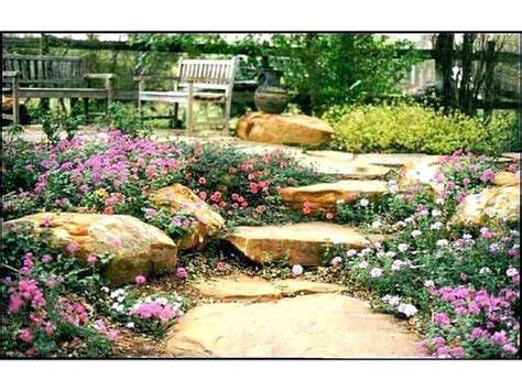 Cool 38 The Best Central Texas Landscaping Ideas For Garden